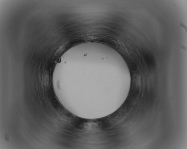 X0000091660220200709131516