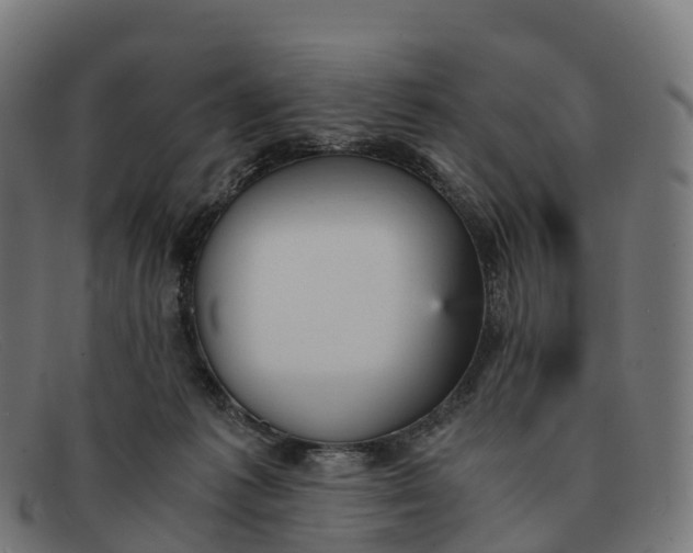 X0000091660221200709131516