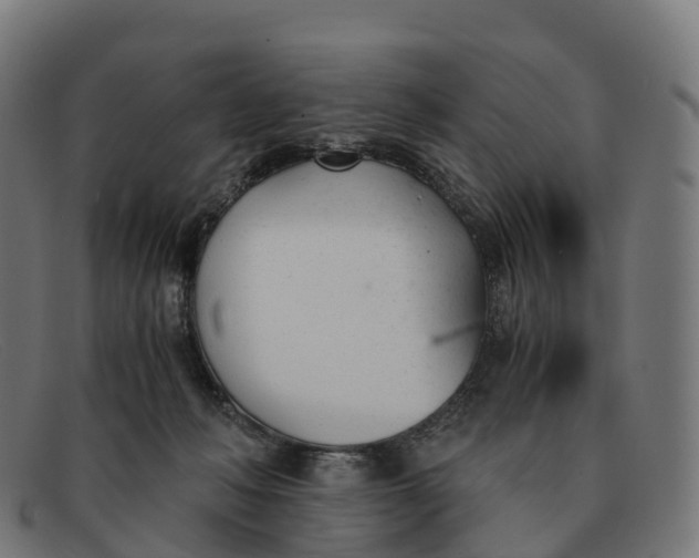 X0000091660222200709131516