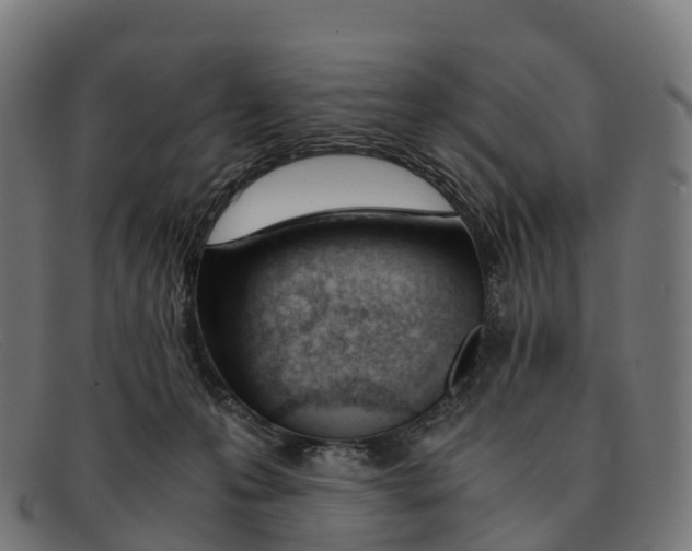 X0000091660223200709131516