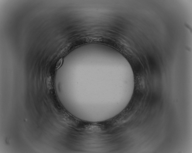 X0000091660224200709131516