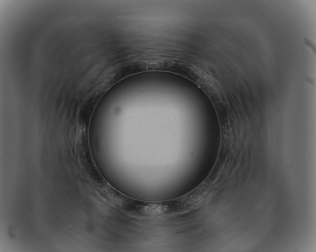 X0000091660225200709131516