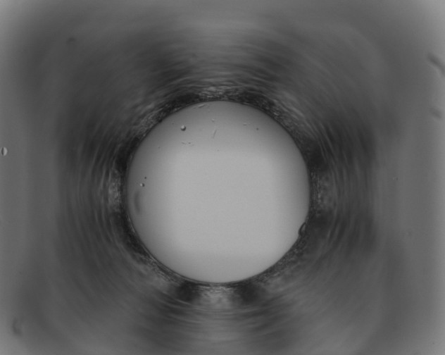 X0000091660226200709131516