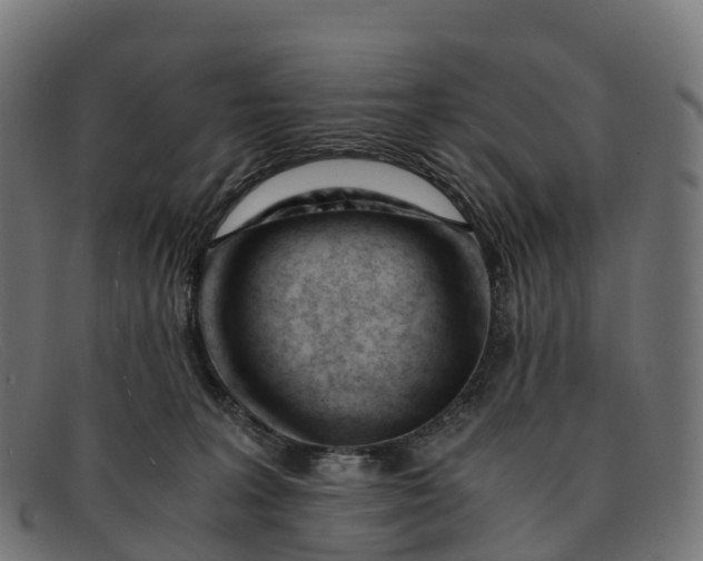 X0000091660227200709131516