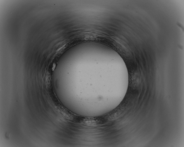 X0000091660228200709131516