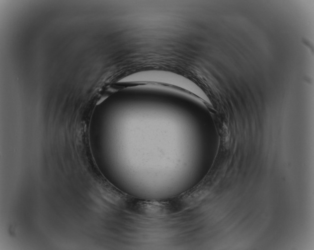 X0000091660229200709131516