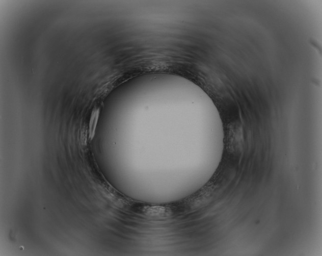 X0000091660230200709131516