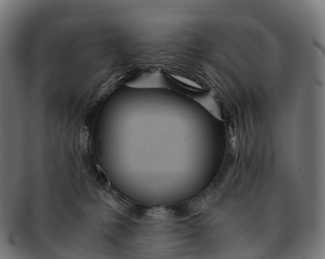 X0000091660231200709131516