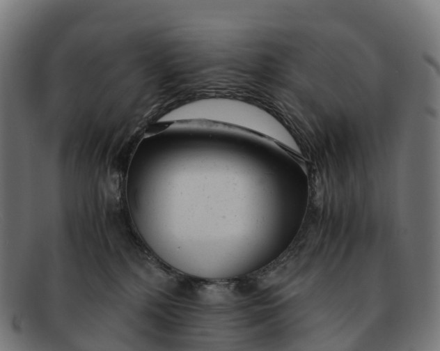 X0000091660232200709131516