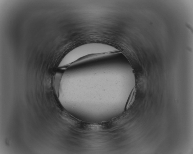 X0000091660233200709131516