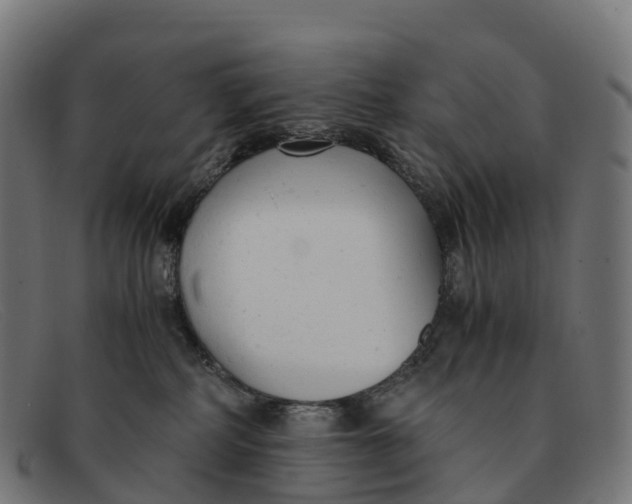 X0000091660234200709131516