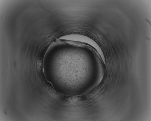 X0000091660235200709131516