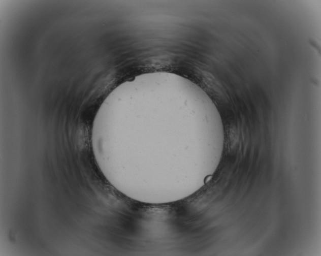 X0000091660236200709131515