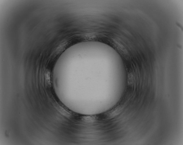 X0000091660238200709131515