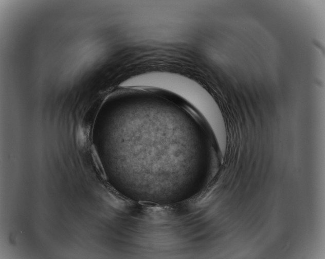 X0000091660239200709131515