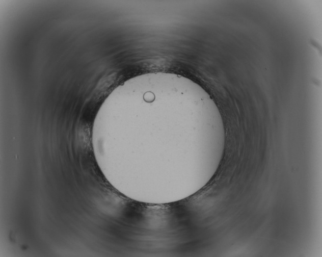 X0000091660240200709131515