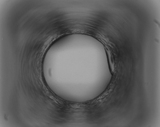 X0000091660241200709131515