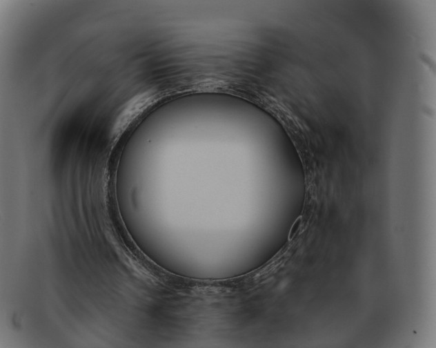 X0000091660242200709131515