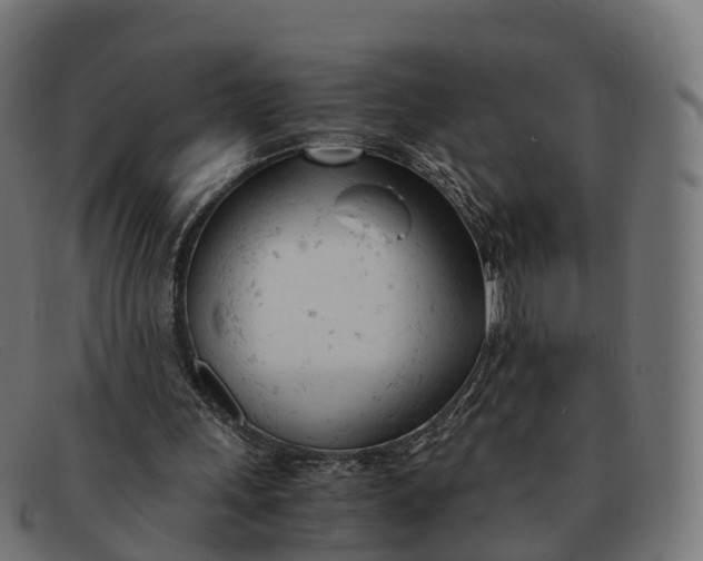 X0000091660243200709131515