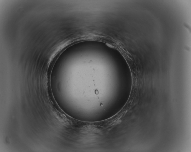 X0000091660244200709131515