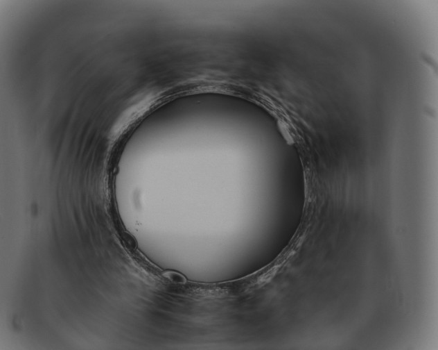 X0000091660245200709131515