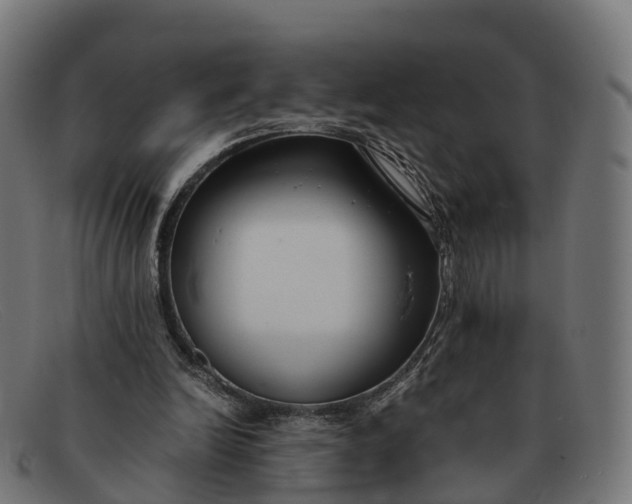 X0000091660246200709131515