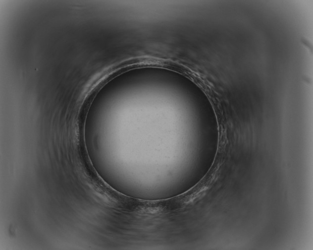 X0000091660247200709131515