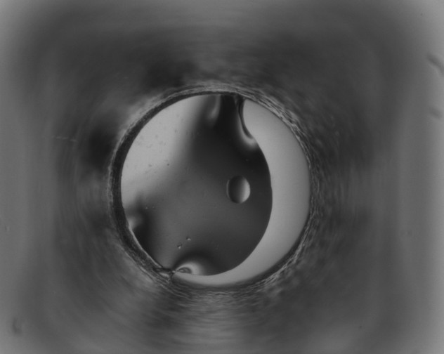 X0000091660248200709131515