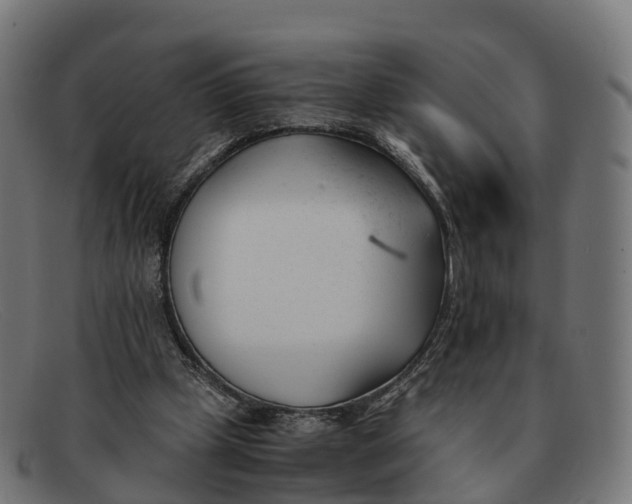 X0000091660249200709131515