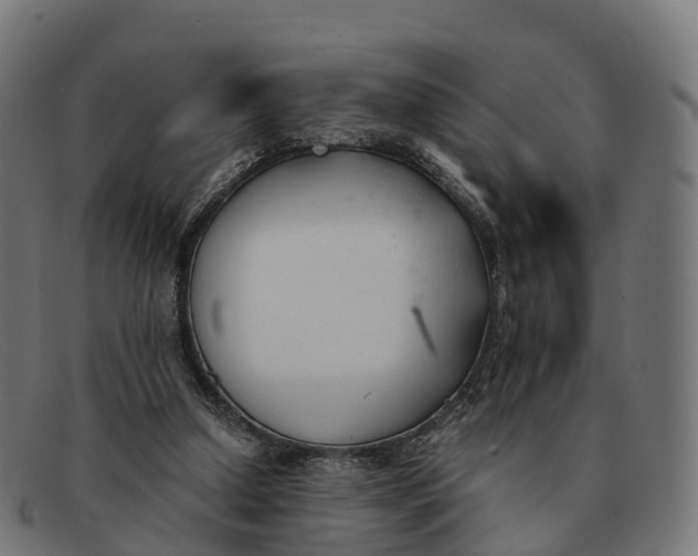 X0000091660250200709131515