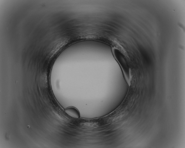 X0000091660251200709131515