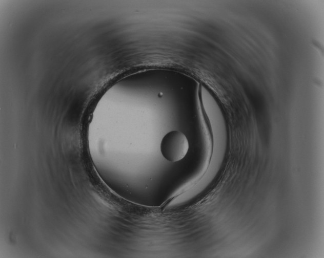 X0000091660252200709131515