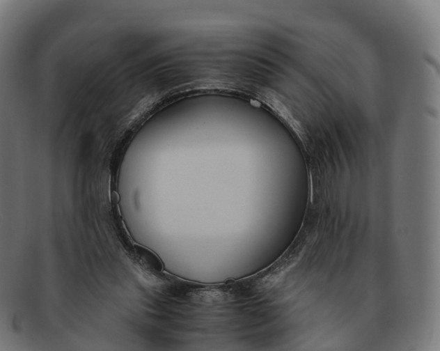 X0000091660253200709131515