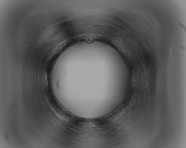 X0000091660254200709131515