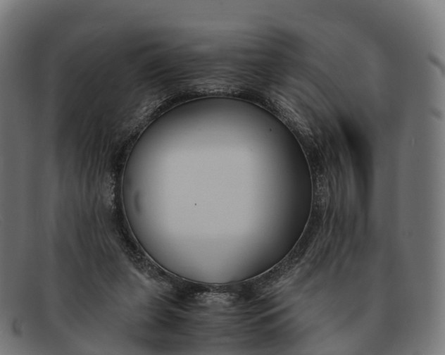 X0000091660255200709131515