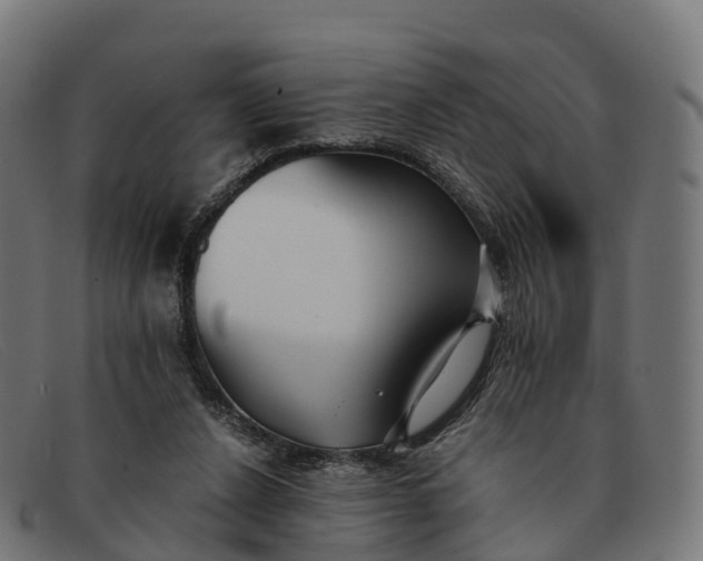 X0000091660256200709131515