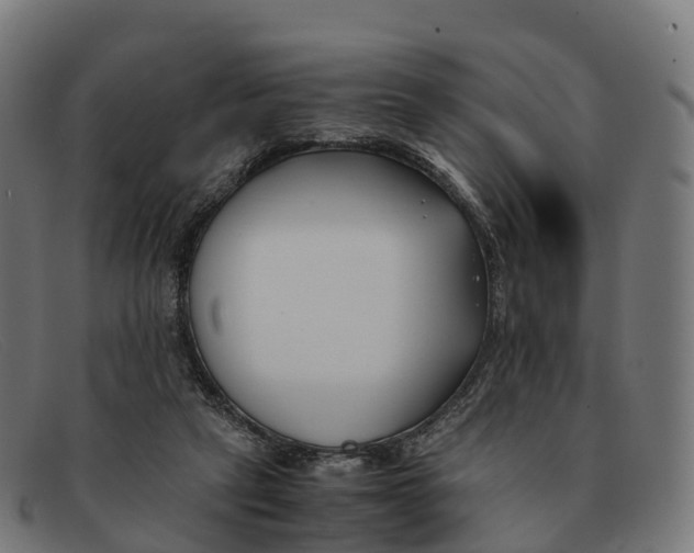 X0000091660257200709131515