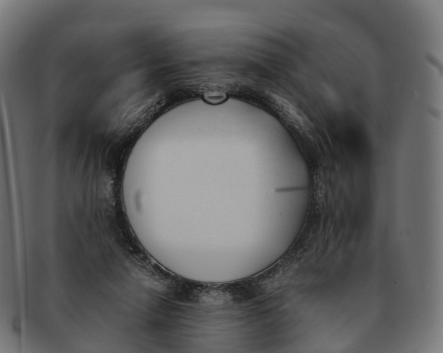 X0000091660258200709131515