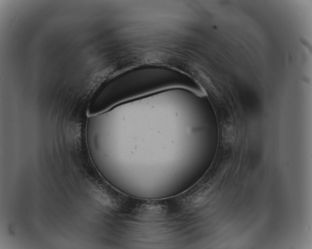 X0000091660260200709131515