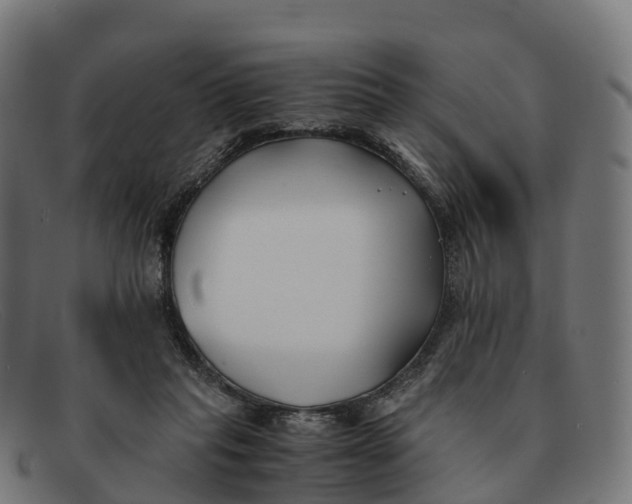 X0000091660261200709131515