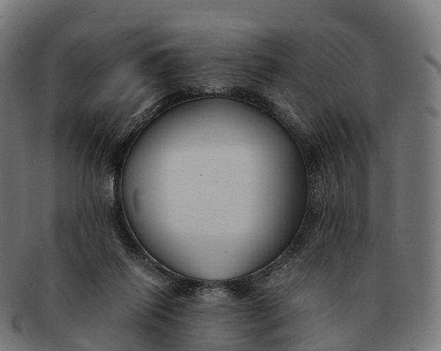 X0000091660262200709131515