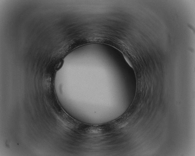 X0000091660263200709131515