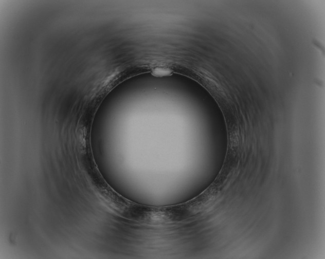 X0000091660264200709131515