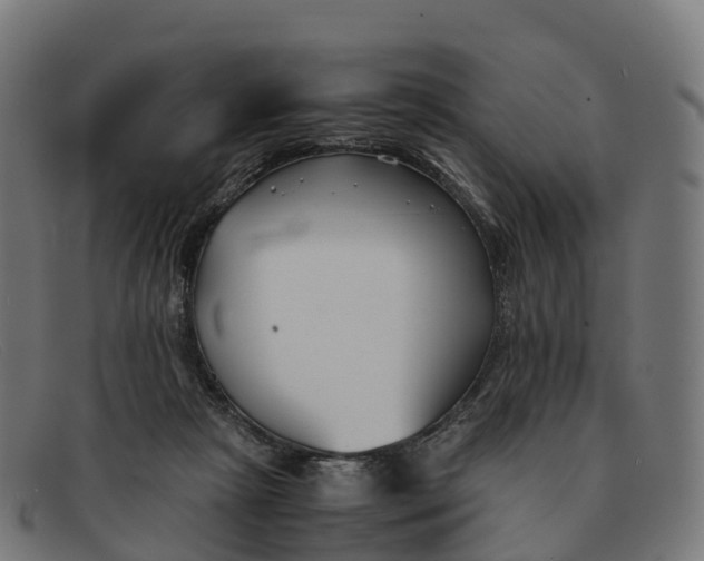 X0000091660265200709131515