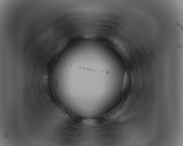 X0000091660269200709131515