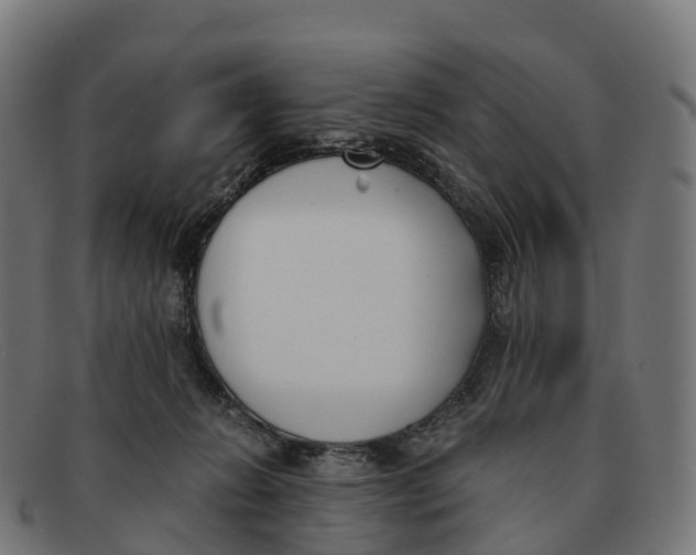 X0000091660270200709131515