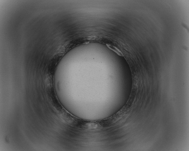 X0000091660272200709131515