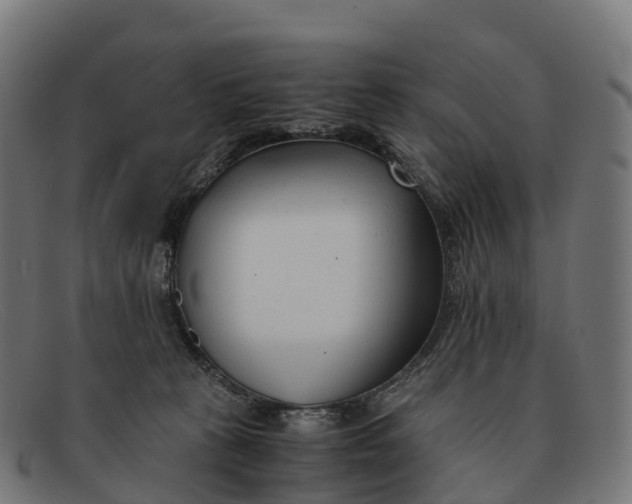 X0000091660273200709131515