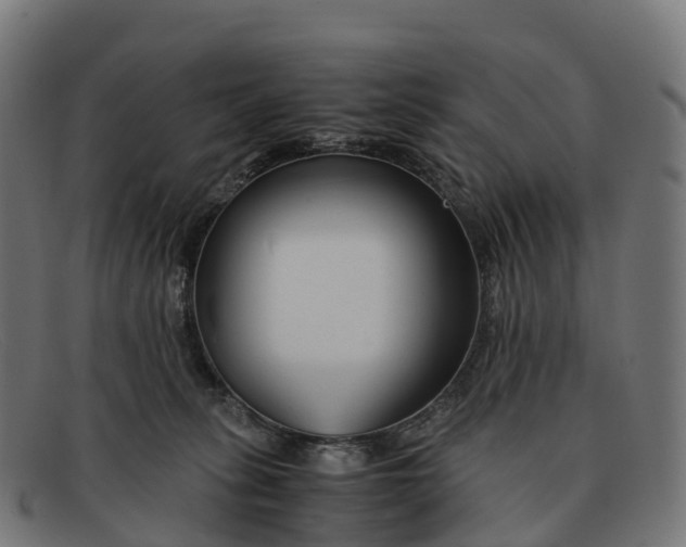 X0000091660275200709131515