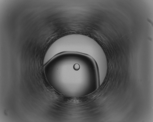 X0000091660276200709131515